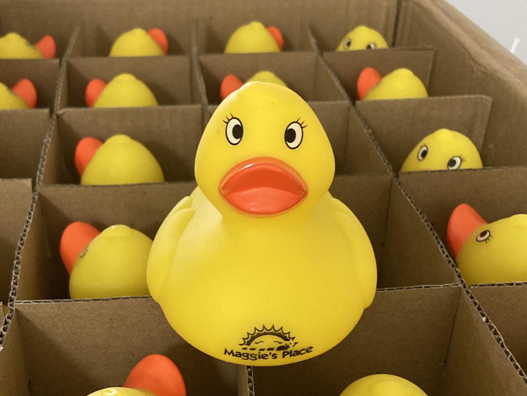 Maggie's Place Duck Race